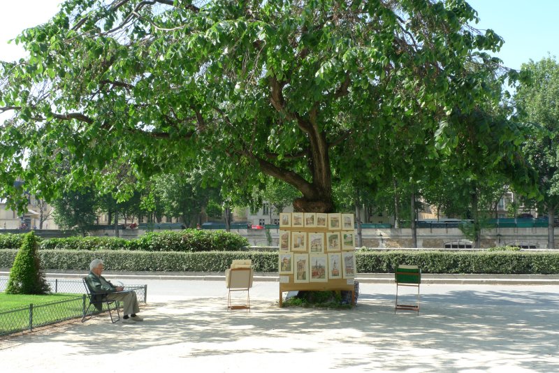 P1000688.jpg