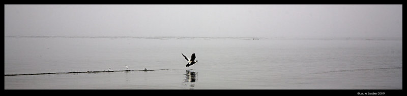 Svalbard_1494.4.jpg