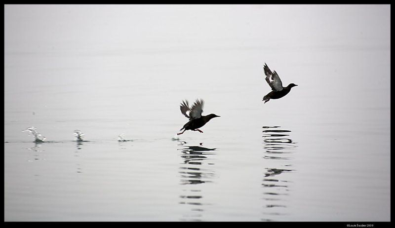 Svalbard_1510.4.jpg