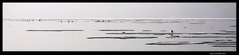 Svalbard_1543.4.jpg
