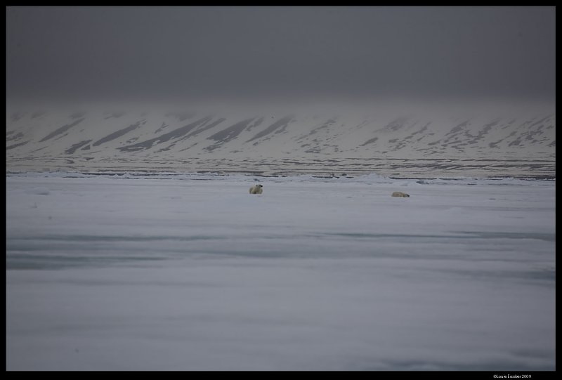 Svalbard_1615.4.jpg