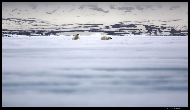 Svalbard_1654.4.jpg