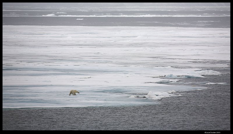 Svalbard_1779.jpg