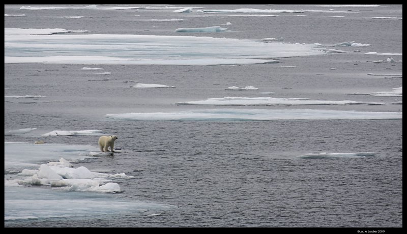Svalbard_1812.jpg