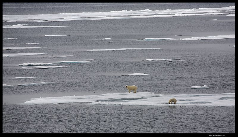 Svalbard_1863.jpg