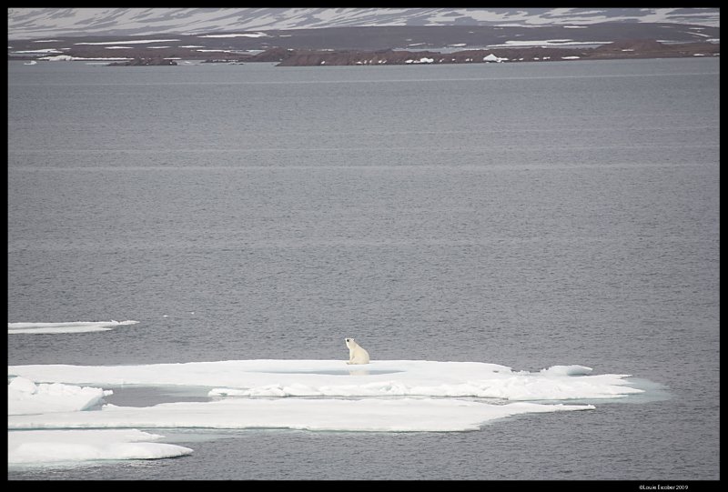 Svalbard_1908.jpg