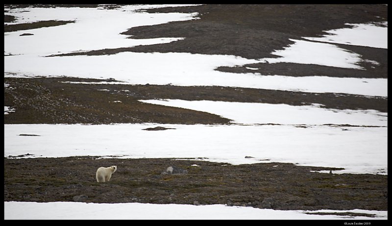 Svalbard_2160.jpg