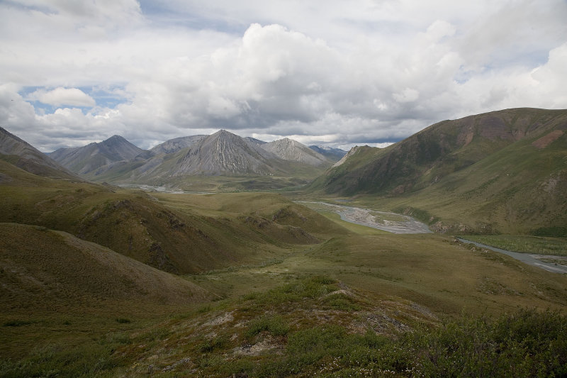 ANWR_5643.jpg