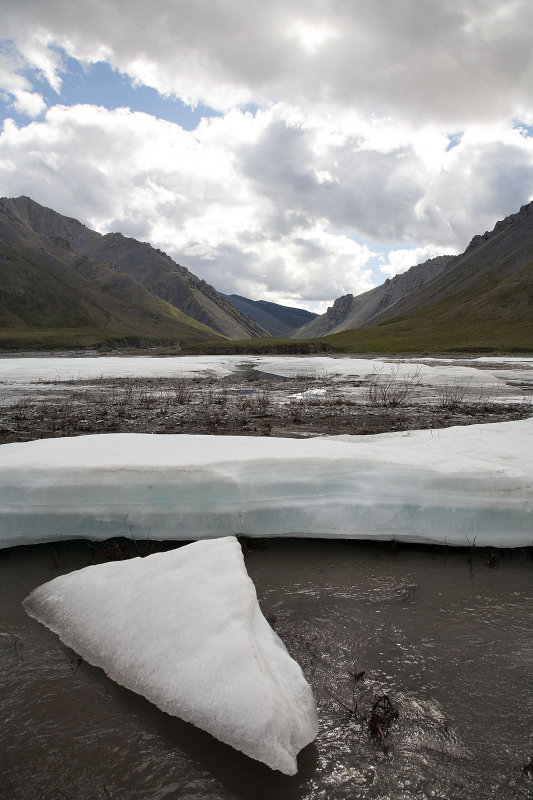 _MG_5731.jpg