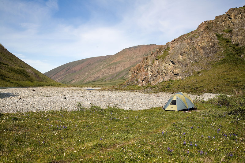 ANWR_5911.jpg