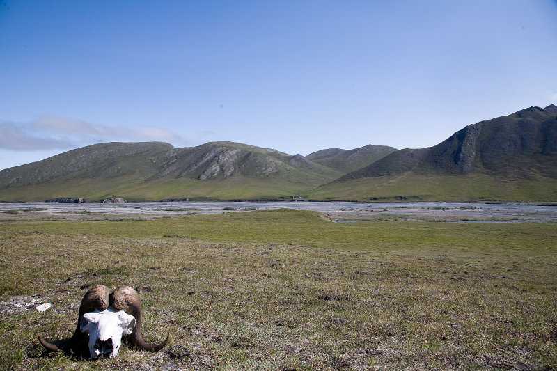 ANWR_6268.jpg