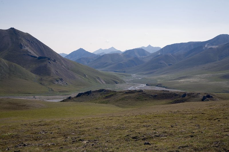 ANWR_6285.jpg