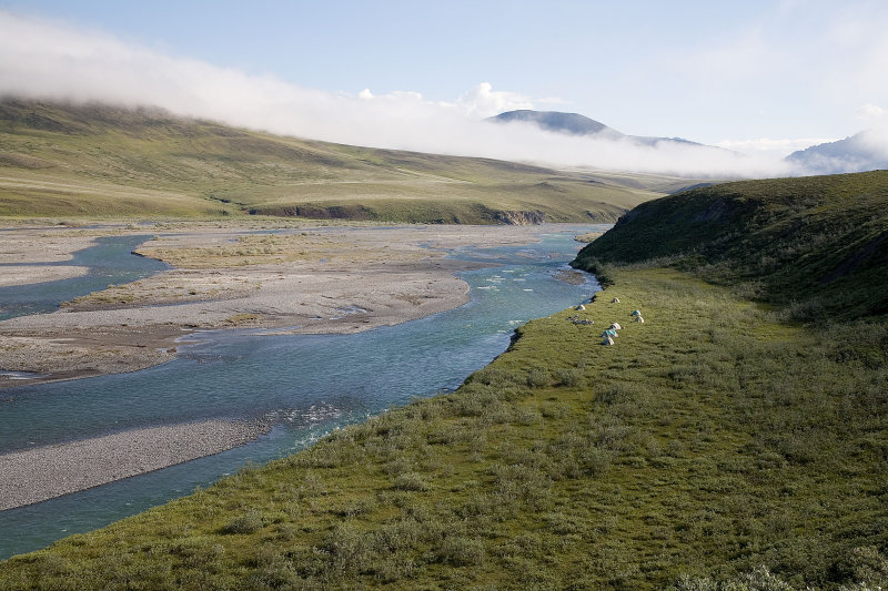 ANWR_6360.jpg