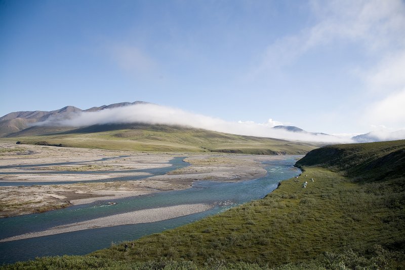 ANWR_6362.jpg