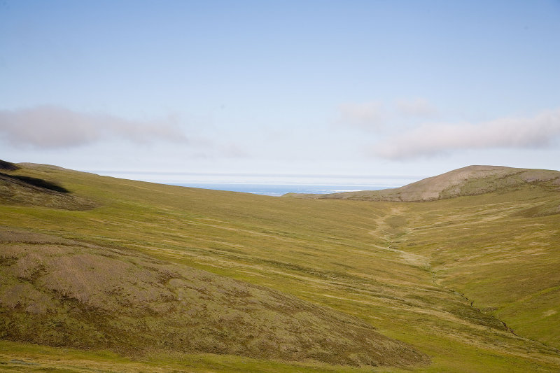 ANWR_6460.jpg