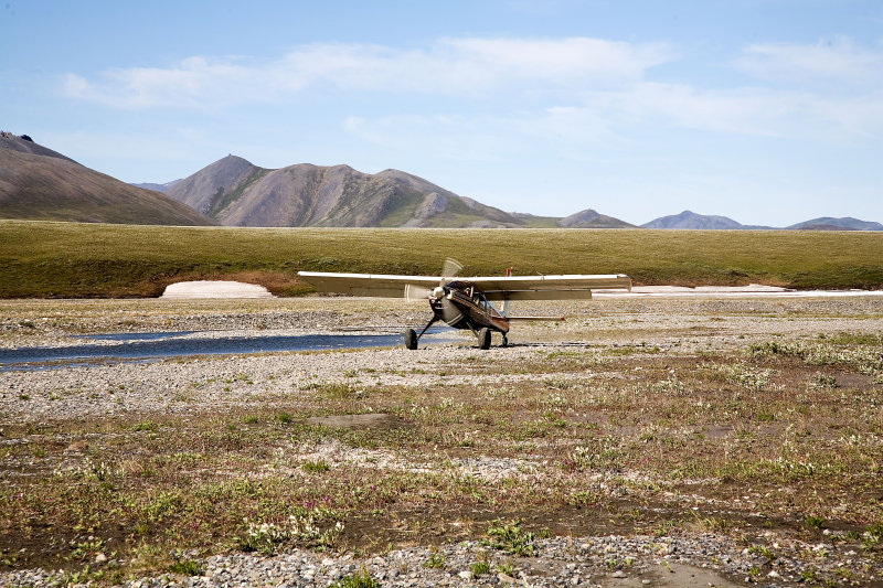 ANWR_6553.jpg