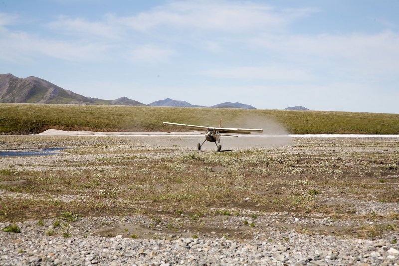ANWR_6566.jpg