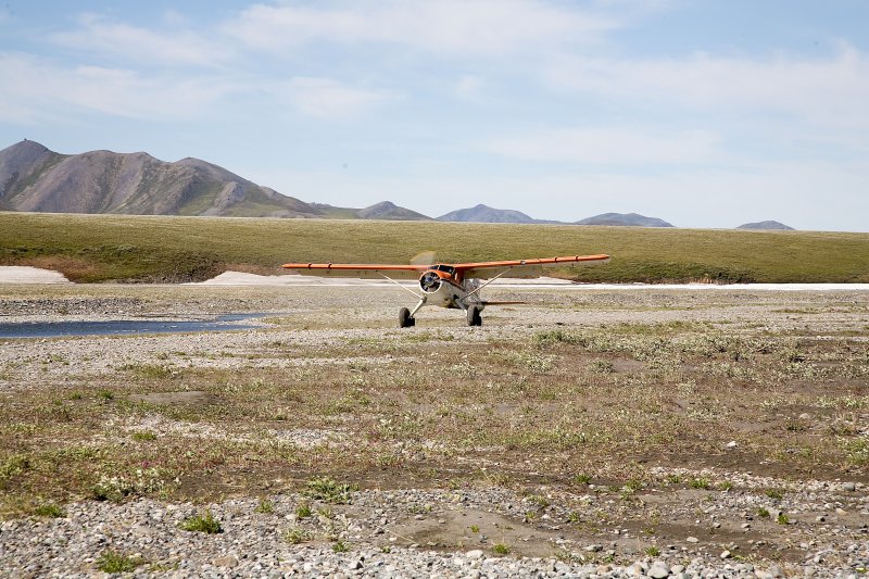 ANWR_6590.jpg