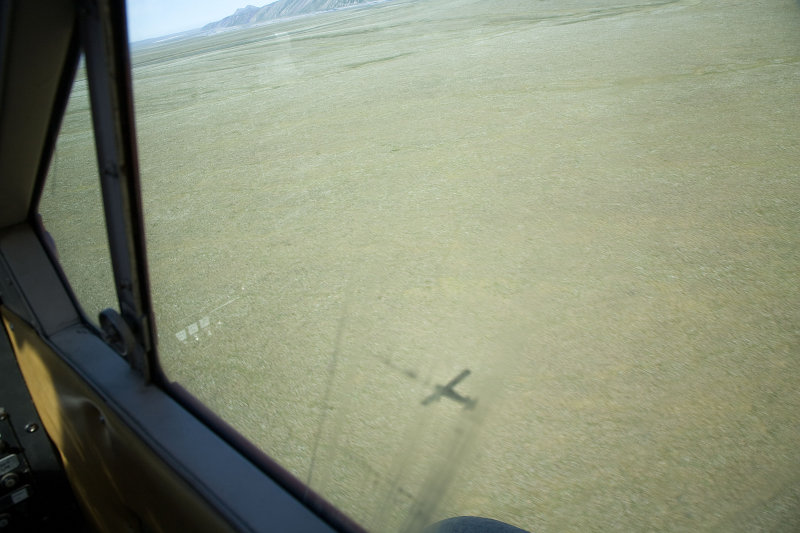 ANWR_6598.jpg