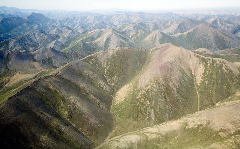 ANWR_6611.jpg