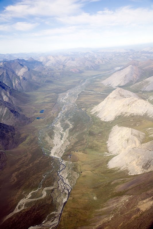 ANWR_6616.jpg