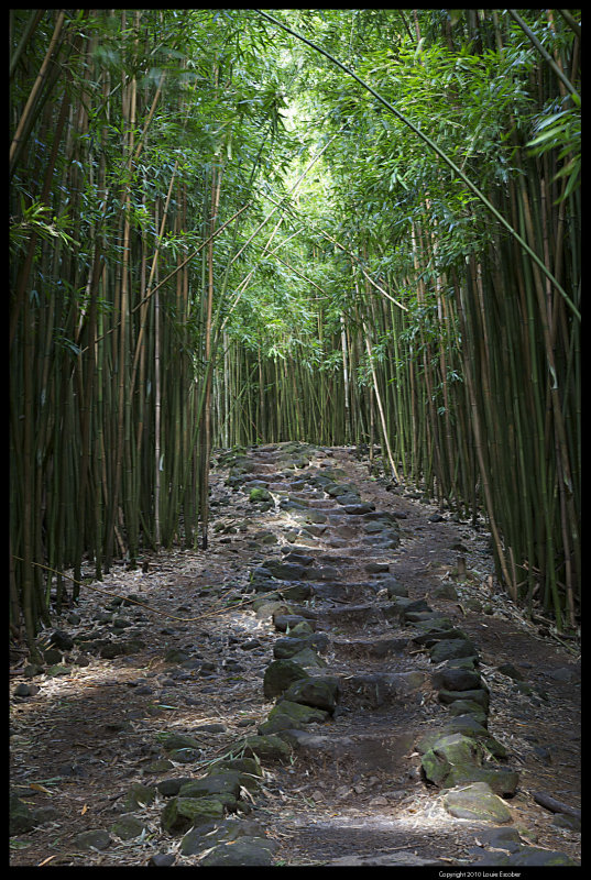 Haleakala_9845.4.jpg