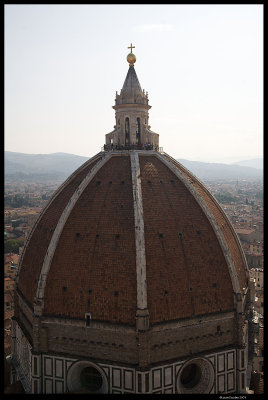 Florence_0864_070209.4.jpg