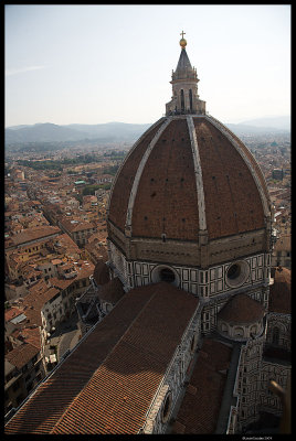 Florence_0898_070209.4.jpg