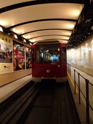 P1000100.jpg