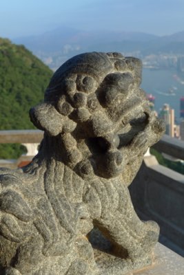 P1000135.jpg