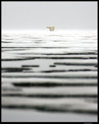 Svalbard_1565.4.jpg