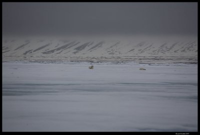 Svalbard_1615.4.jpg