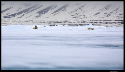 Svalbard_1630.4.jpg