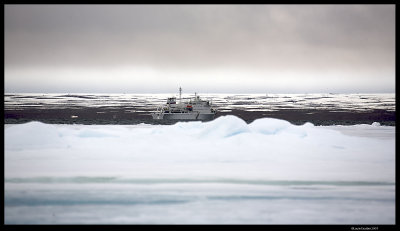 Svalbard_1666.4.jpg