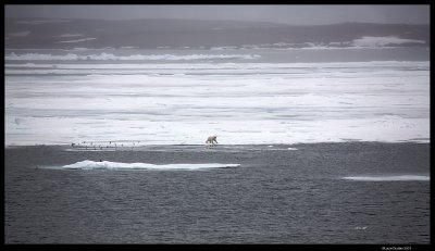 Svalbard_1713.jpg