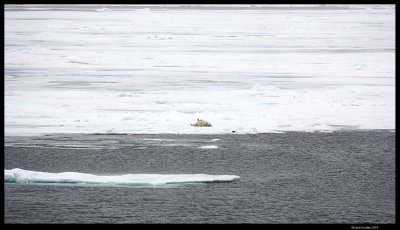 Svalbard_1730.jpg