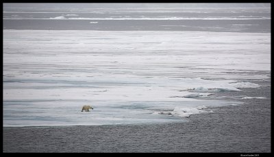 Svalbard_1779.jpg
