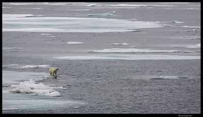 Svalbard_1812.jpg