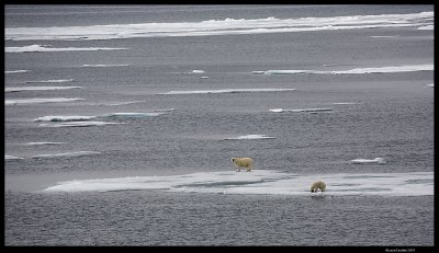 Svalbard_1863.jpg