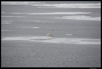 Svalbard_1892.jpg