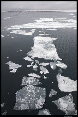 Svalbard_2018.jpg