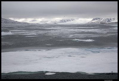 Svalbard_2083.jpg