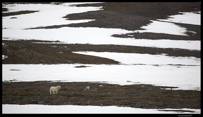 Svalbard_2160.jpg