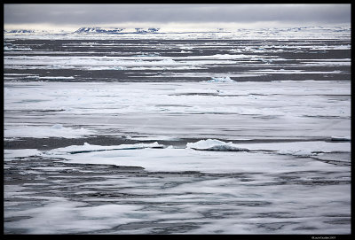 Svalbard_2268.jpg