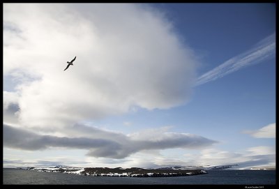 Svalbard_2393.jpg