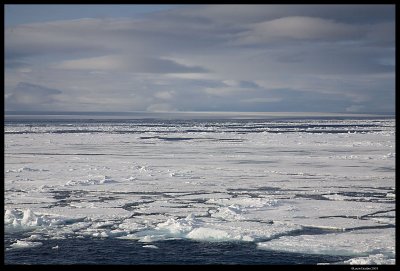 Svalbard_2545.jpg