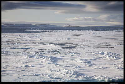 Svalbard_2558.jpg