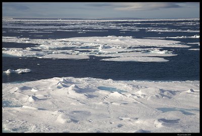 Svalbard_2641.jpg