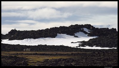 Svalbard_3683.jpg