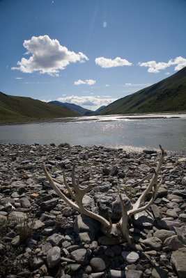 ANWR_5856.jpg